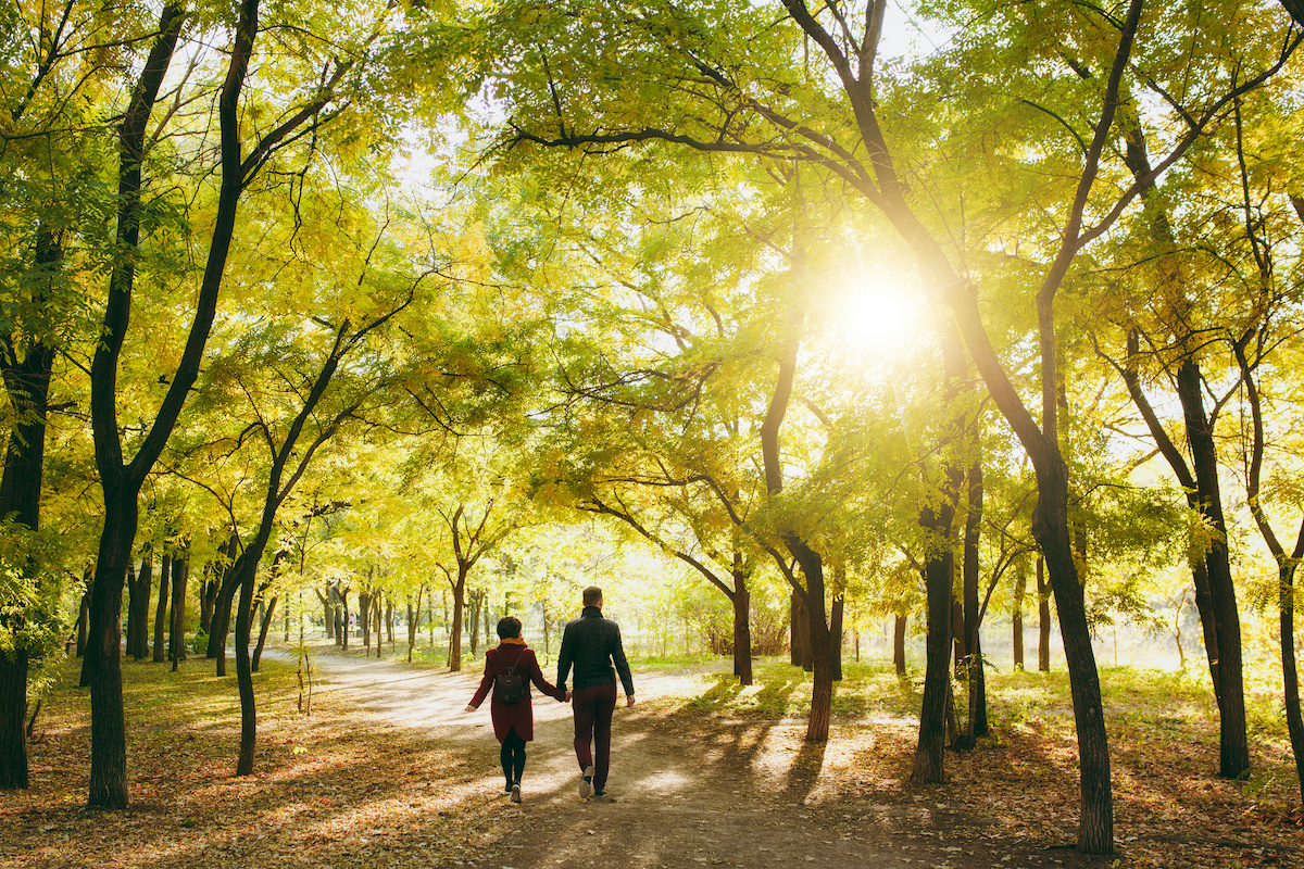 7-reasons-to-soak-in-the-sun-while-moving-backyard-garden