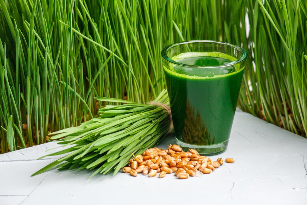 The Health Benefits of Drinking This Grass Will Blow You Away ...